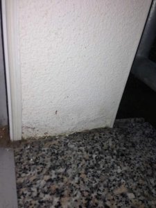 Fenster2.jpg