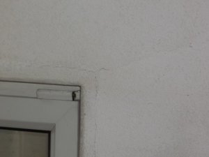102_3970-1.jpg