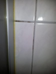 20130617_100135.jpg