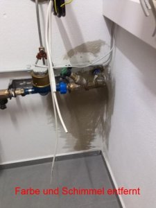 1-IMG_20130622_102204.jpg