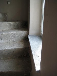IMG_2361.jpg