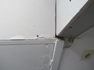 IMG_2204.JPG