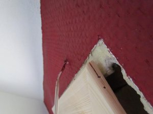 IMG_2234.jpg