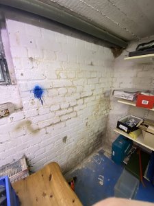 IMG_3020.JPEG
