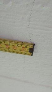 IMG_20210512_182529.jpg