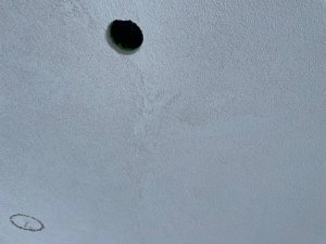 IMG_0969.jpg
