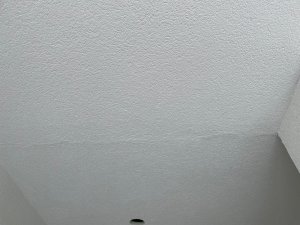 IMG_0971.jpg