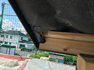 IMG_8296.jpg