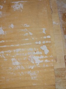 IMG_20210524_153845.jpg
