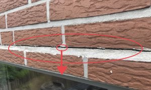 38005AA1-A343-4AC9-95EF-EFCDF652F036.jpeg