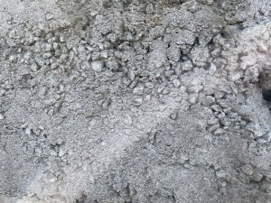 3ACC0512-7B30-4480-AA7D-D437AEA19669.jpeg