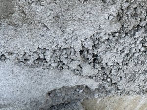 8F7E5945-40D0-440B-A51D-24FBD3A82DAE.jpeg