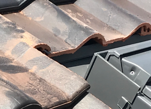 Bildschirmfoto 2021-05-30 um 18.20.17;30. Mai 2021.png