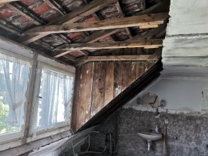 IMG_20210529_162916.jpg