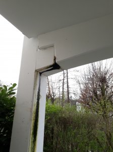 2_20190405_171333.jpg