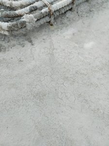 IMG20210605174138.jpg