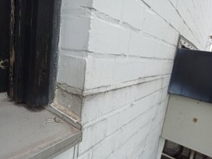 IMG_20210605_113211.jpg