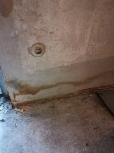IMG_20210609_174002.jpg