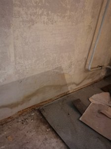 IMG_20210609_174005.jpg