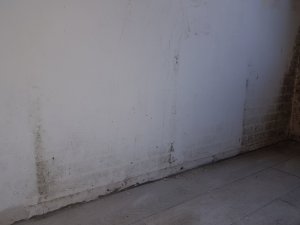 20210508_103928.jpg