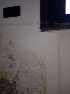 20210508_103914.jpg