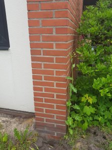 20210615_112558.jpg