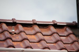 IMG_2544.JPG