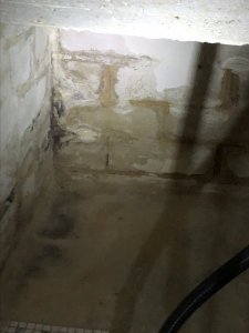 87A0125F-E352-4A92-8DE1-BA07EC11EB51.jpeg