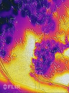 flir_20210618T162807.jpg