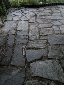 A6603396-E89A-47EC-B86E-A9DDD0C38088.jpeg