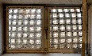 kellerfenster.jpg