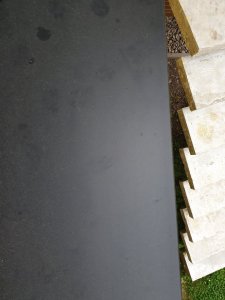 20210624_165213.jpg