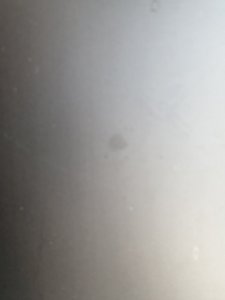 20210621_180517.jpg
