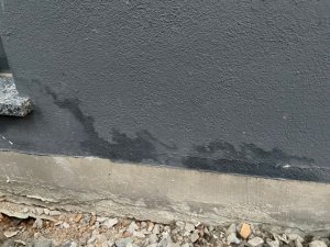 IMG_0386.jpg