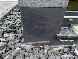 IMG_0387.jpg