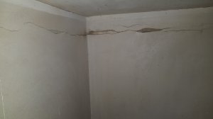 20210710_235337.jpg