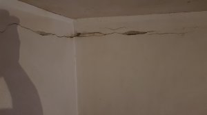 20210710_235347.jpg