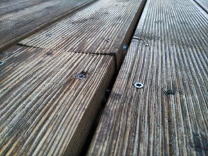 IMG_20210717_205737_DRO.jpg