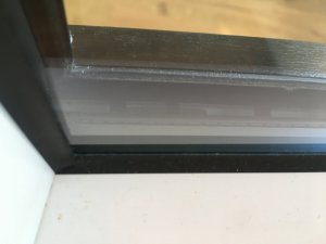 F3923332-C75D-4477-AB37-18528E750836.jpeg