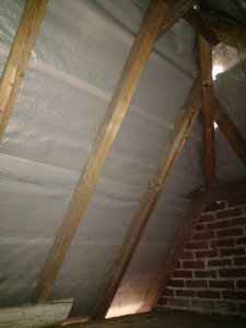 IMG_20210725_132747624.jpg