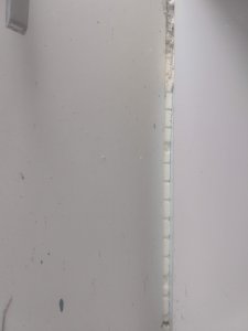 IMG_20210728_152705856.jpg