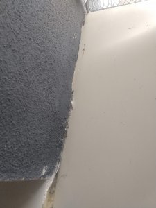 IMG_20210728_152727335.jpg