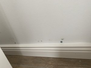 E48FE0B6-1762-4AE3-9407-5EC7D223CF7F.jpeg