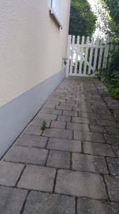 IMG_20210729_183742.jpg