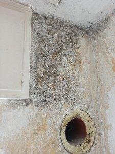 IMG_20210730_163304.jpg