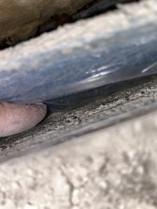19CBE9AA-7853-4FC5-BEAD-D506ED762A6B.jpeg