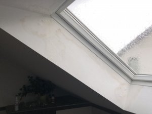 IMG_7108.JPG