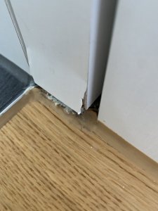 IMG_5332.jpeg
