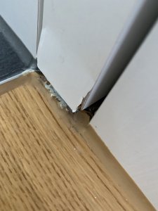 IMG_5333.jpeg