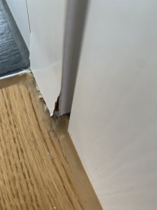IMG_5334.jpeg